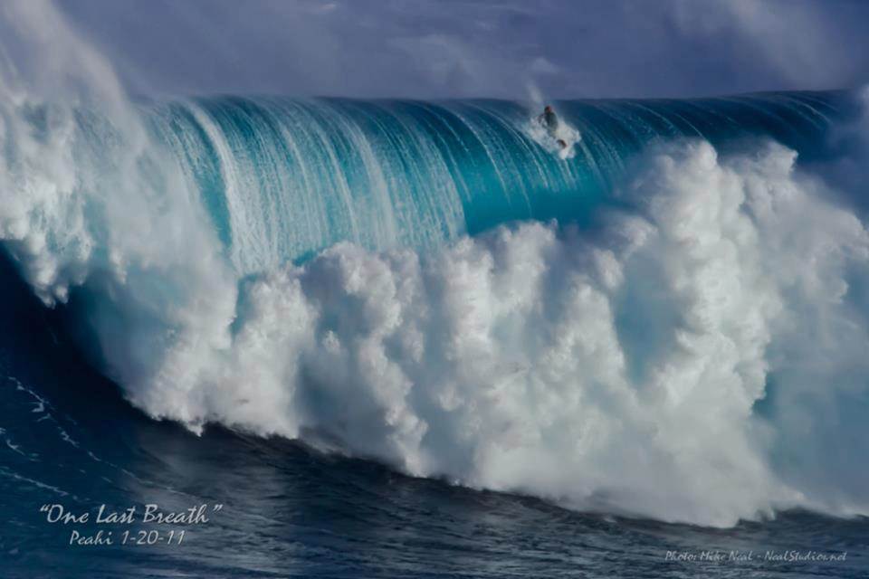 548750 10150986819028057 2111290402 n (1)