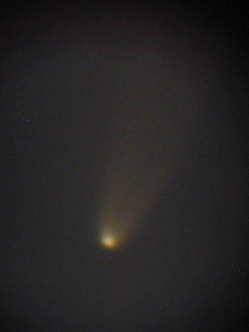 McNaught Comet