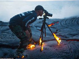 article-2364042-1AD1FD01000005DC-477 964x642