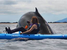 i lazy monday pics 055 55ffa64c72534