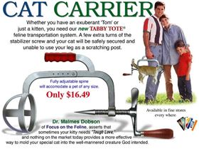 RIngsAroundKittysAnus