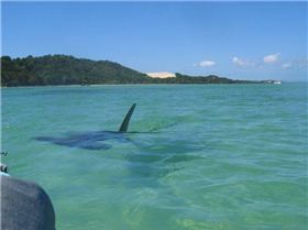 moreton island canoeing