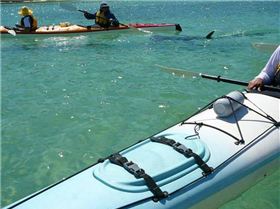 moreton island canoeing