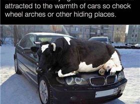 12299360 654107694692413 1650761750078185026 n