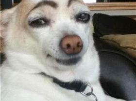 691a2d0ddb6724bf7f3caa3bac98aab0