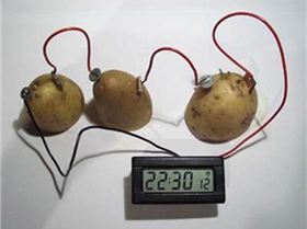 potato battery pics 06