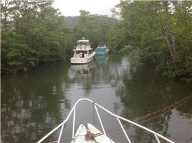 12705410 10154613118253327 8588232674205564418 n