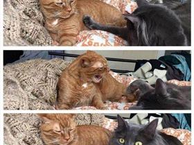 e3e69ca08bf33aa59549704d8649c001