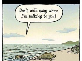 13179067 885077358305011 6906010859505186444 n