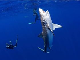 10699798 384980344993496 5192478586993579565 o