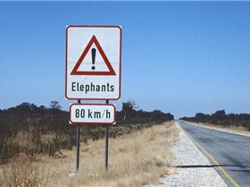 27900956235 d62c211631 o