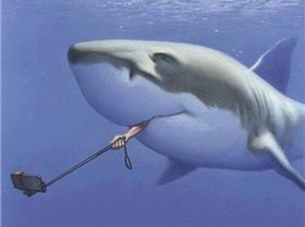 13626573 1074075282679189 1723045897162208094 n