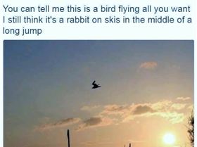 13567260 939311209527927 5701460544651702129 n