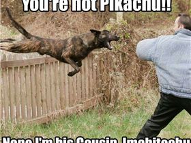 13728993 1951619011731410 5779319203220954979 n zpsmzrltnuz