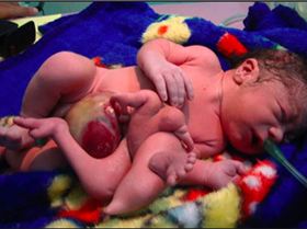 Screen Shot 2016-08-01 at 07.51.53