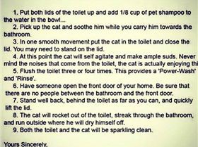 14067671 1068996213137216 2957831752635300339 n