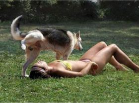 marking-the-territory-500x324