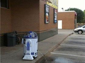 14292297 1686172588078854 5929493543334686547 n