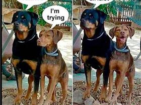 Screen Shot 2016-09-19 at 09.48.10