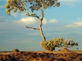 Sunset at wellington point 21-6-07