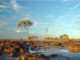 Sunset at wellington point 21-6-07