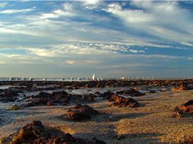 Sunset at wellington point 21-6-07