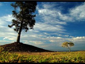 Wellington Point Sunset