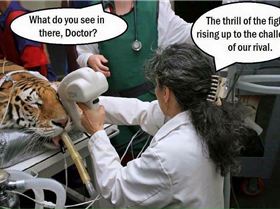 14642028 10154781724289610 817474276868859927 n