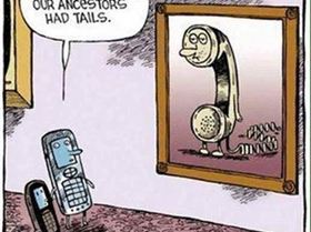 15355628 1348965688496949 3437476431784306397 n