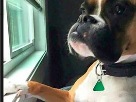 Screen Shot 2016-12-10 at 21.36.26