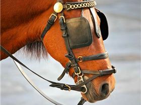 Screen Shot 2016-12-21 at 16.38.34