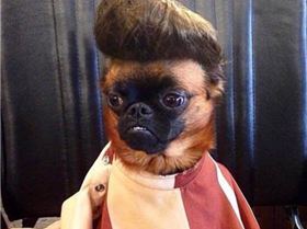 11091157 1456253434665931 2320188873012607341 n