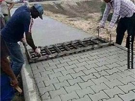 16195159 10154924555087436 1127853156646943257 n