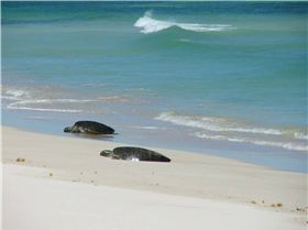 South of Yardie creek Exmouth / Ningaloo