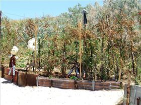 South of Yardie creek Exmouth / Ningaloo