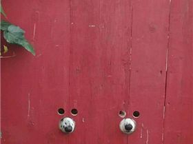 16473204 10154352978182005 7252112039985289060 n