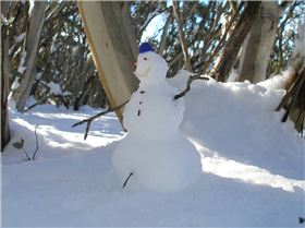 2007 SnowMan