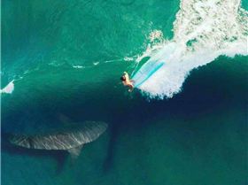 16649293 1881277332116156 5039573403852604624 n