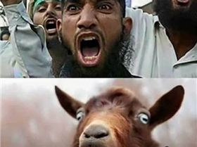 16649133 927967604004722 8278749923335246807 n