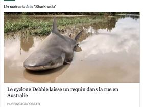 Screen Shot 2017-04-01 at 3.06.26 pm