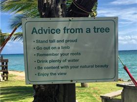 tumblr ohbgnfqQTw1ug2e72o1 500