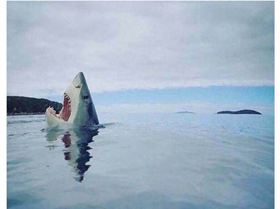 17634722 10208484517372081 1316470010026791626 n