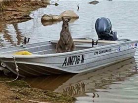 17634797 1338462379554881 7832482686360031904 n