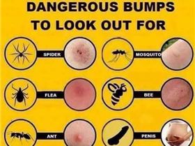 17861902 1333526230088863 1735286202438265828 n