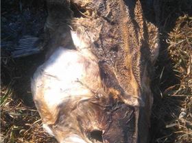 FB IMG 1492313842584