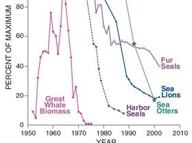 sequential collapse of marine mammals