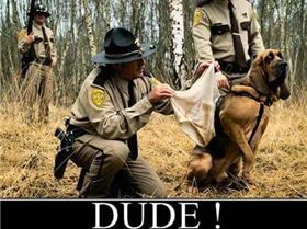 11252597 878389282237171 4399057632873336822 n