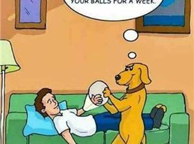 19399898 1416994231742062 6345208417391471537 n