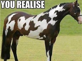 dd2fa22b2d7ff142993b3fa014d52b24--mind-blown-awkward-moments