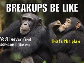 19366231 1529028517147951 122643725929244690 n